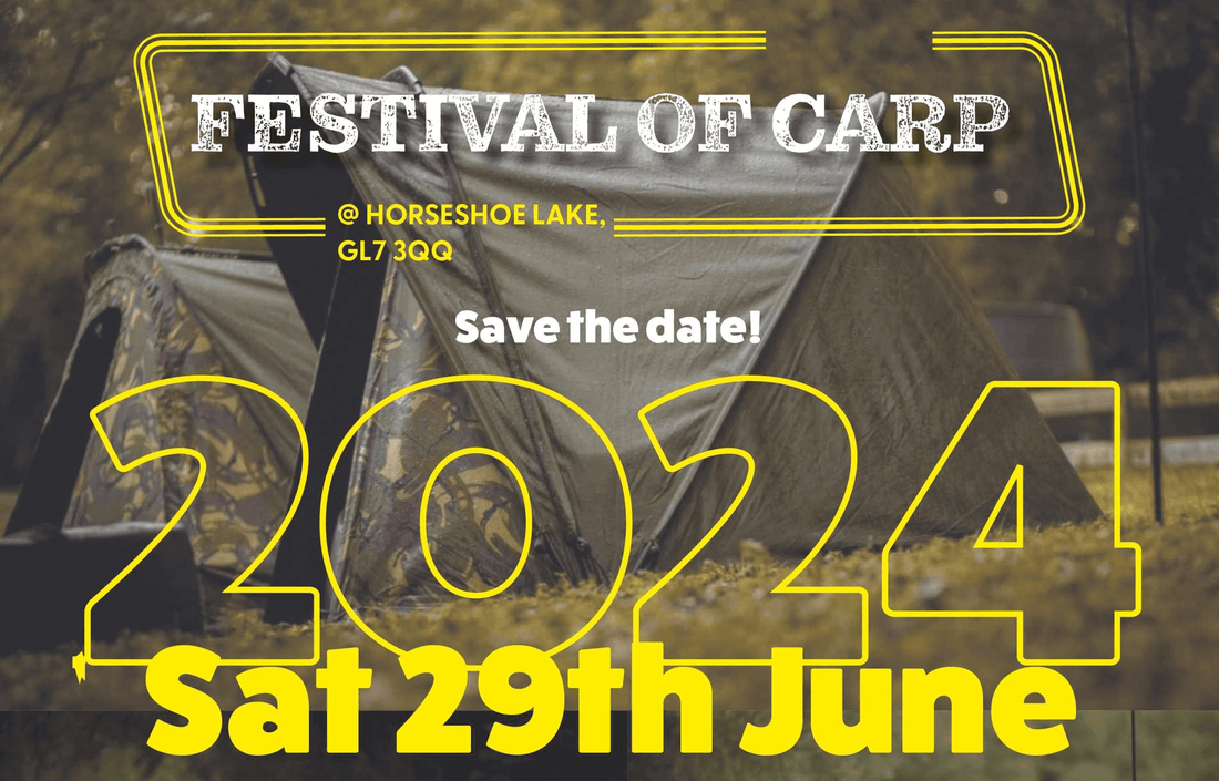 Festival Of Carp