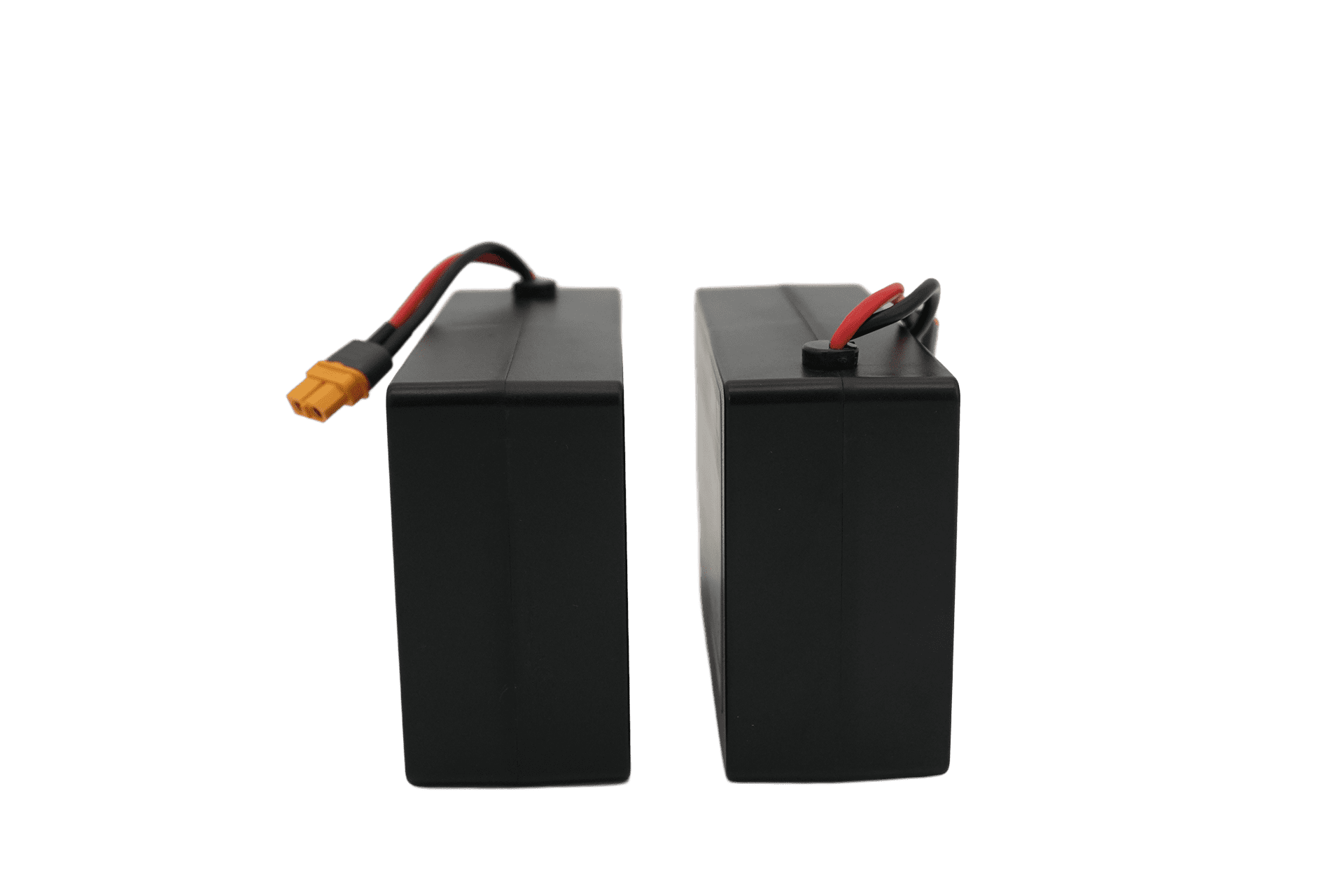 C-Series 10Ah Batteries (Pair)