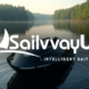 Why Weed Is a Problem for Bait Boat Propellers